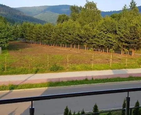 아파트 Apartament Platinum 1 우스트론